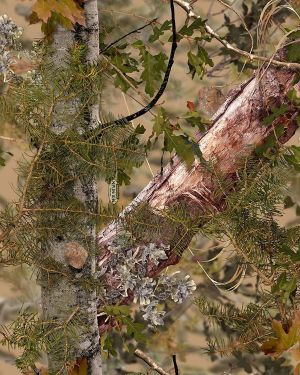 King Mountain Shadow Camouflage