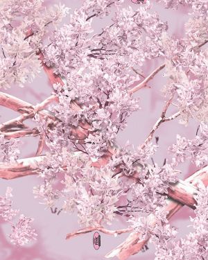 King Shadow Pink Camouflage