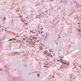 King-Shadow-Pink-Camo.jpg