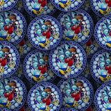 Kingdom-Hearts-Stained-Glass-Sora.jpg