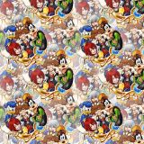 Kingdom-Hearts-The-Gang-23.jpg