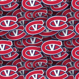 Kingstone Voyageurs 22