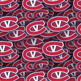 Kingstone-Voyageurs-22.jpg