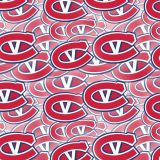 Kingstone-Voyageurs-23.jpg