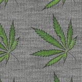 Knit-Kush-22.jpg