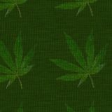Knit-Kush-23.jpg