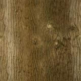 Knotty-Bark-23-thumb.jpg