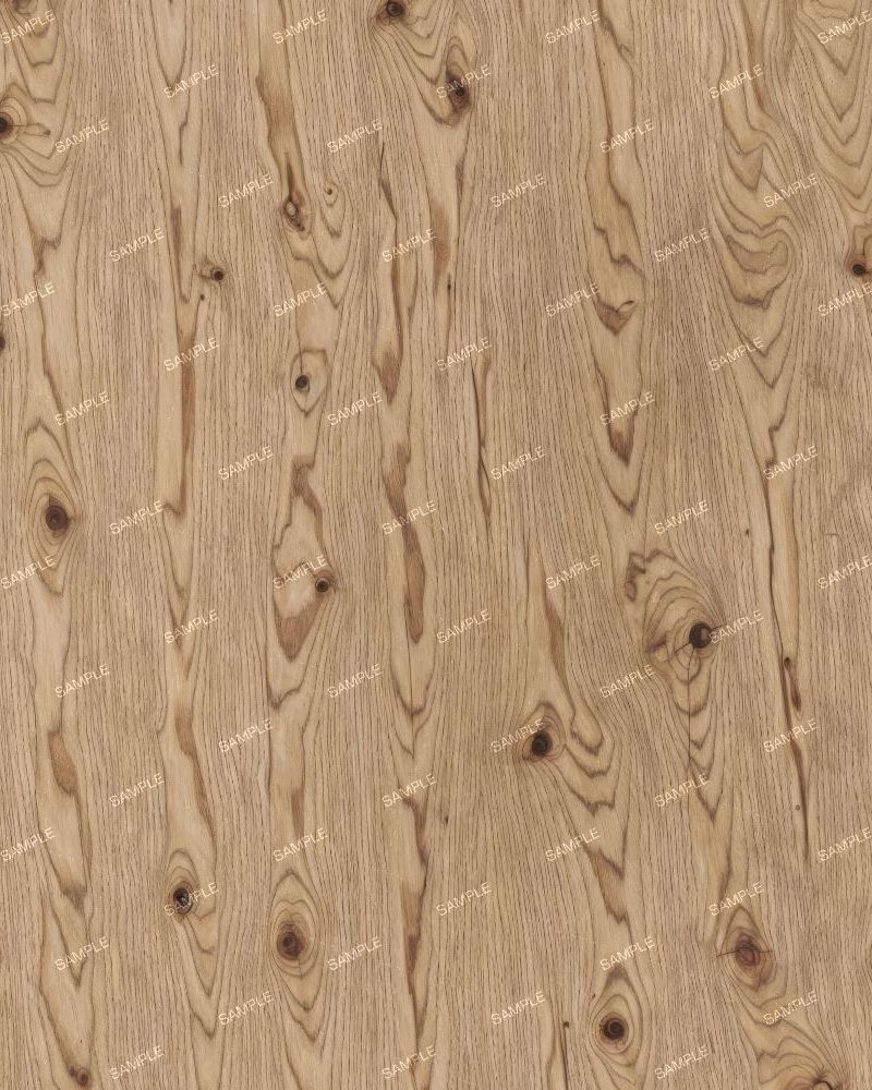 Knotty Walnut Veneer