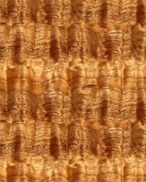 Koa Wood 23