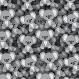 Koalas-22.jpg
