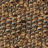 Komodo-Dragon-Scales-23-thumb.jpg