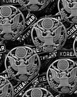 Korean War Army Veteran 23