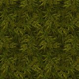 Kush-Jungle-22.jpg