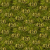 Kush-Jungle-24.jpg