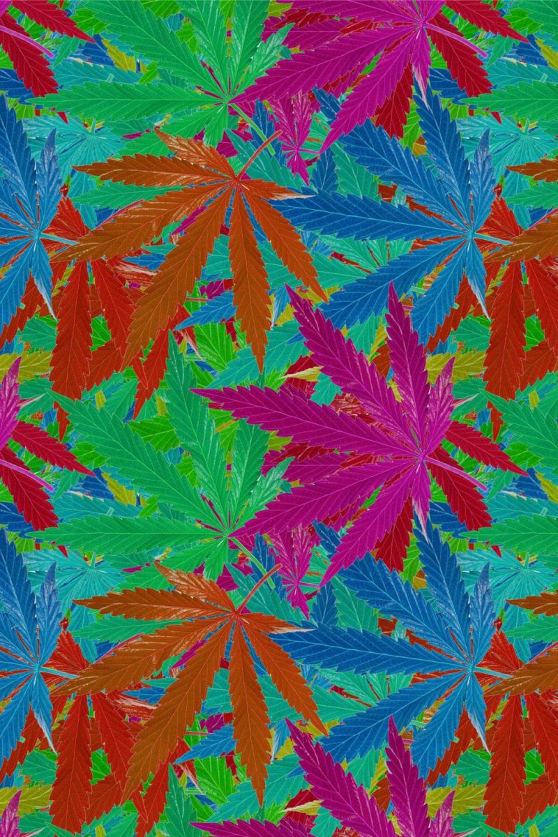 KushOMatic 22
