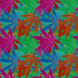 KushOMatic-22.jpg