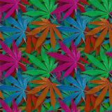 KushOMatic-23.jpg