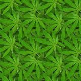 KushOMatic-24.jpg