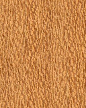 Lacewood