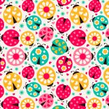 Ladybug-22.jpg