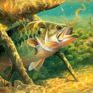 Lake Bass 23