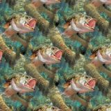 Lake-Bass-24.jpg