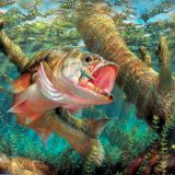 Lake-Bass-25.jpg
