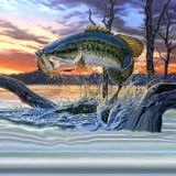 Large-Mouth-Bass-11x16-1.jpg