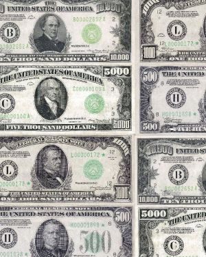 Large US Bills 22