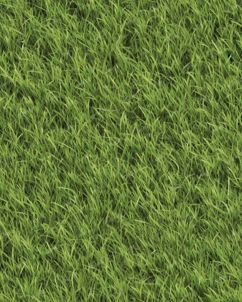 Lawn Grass 42
