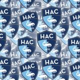 Le-Havre-AC.jpg