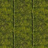 Leaf-Blood.jpg