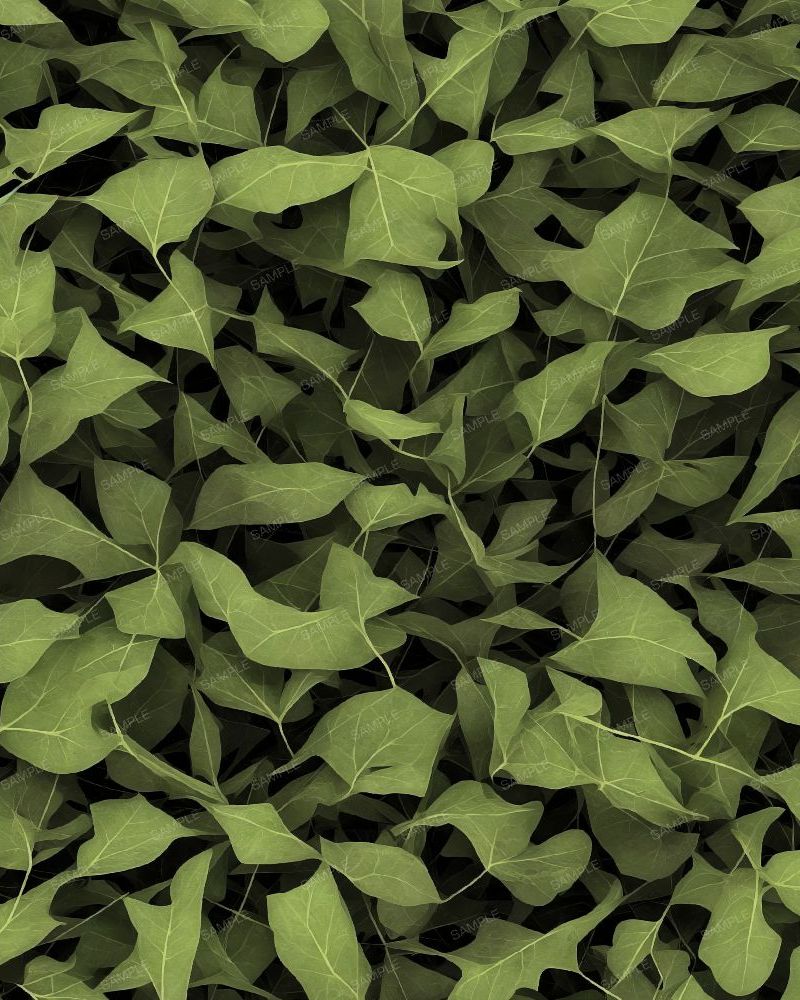 Leaf Camouflage