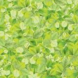 Leafy-Greens.jpg