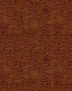 Leather 5