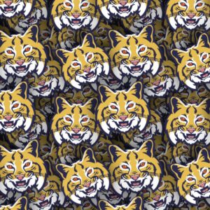 Leeds Bobcats