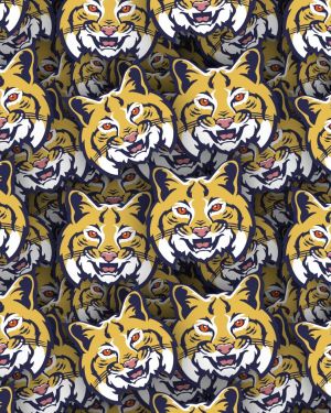 Leeds Bobcats