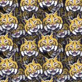 Leeds-Bobcats.jpg