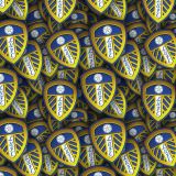 Leeds-United-FC-22.jpg