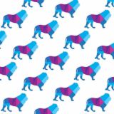 Leo-Geometric-24.jpg