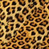 Leopard-Fur.jpg