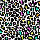 Leopard-Rainbow-23.jpg