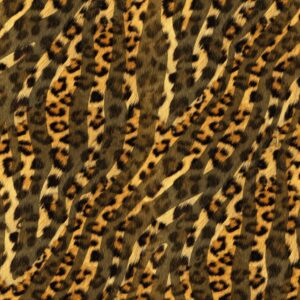 Leopard Zebra 22