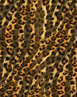 Leopard Zebra 22
