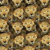 Leopards-22.jpg