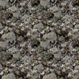 Lichen-23-Camo.jpg