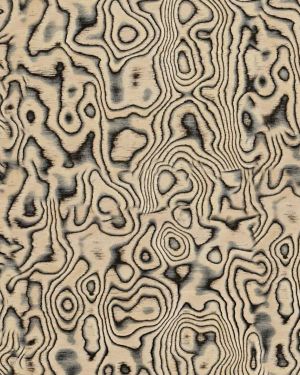 Licorice Burl