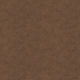 Light-Brown-Leather.jpg