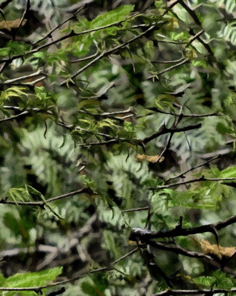 Light Woods Camouflage