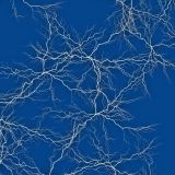 Lightning-26-thumb.jpg